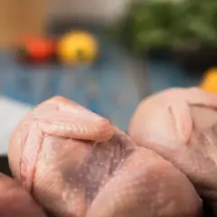 Mięso drobiowe: odkryj jego zalety, przepisy i wartości odżywcze